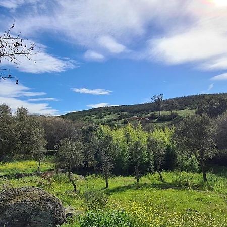 Quinta Da Utopia Castelo de Vide Ngoại thất bức ảnh