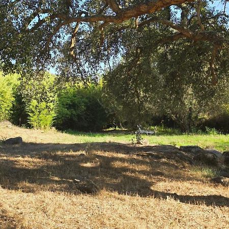 Quinta Da Utopia Castelo de Vide Ngoại thất bức ảnh