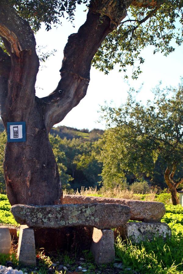 Quinta Da Utopia Castelo de Vide Ngoại thất bức ảnh