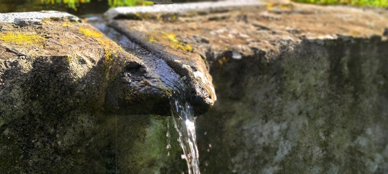 Quinta Da Utopia Castelo de Vide Ngoại thất bức ảnh