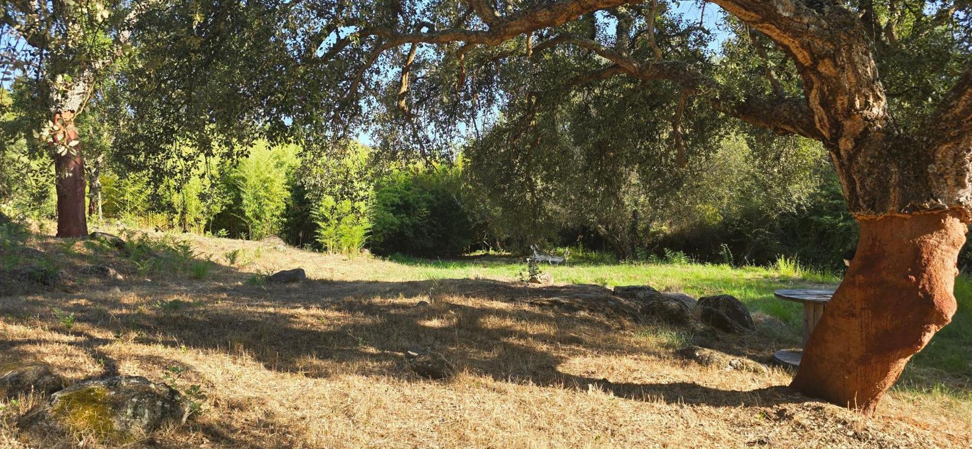 Quinta Da Utopia Castelo de Vide Ngoại thất bức ảnh